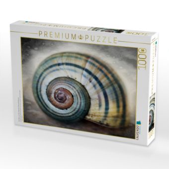 Produktbild: CALVENDO Puzzle Ein Motiv aus dem Kalender Schneckenh&auml;user | 1000 Teile Lege-Gr&ouml;&szlig;e 64x48cm Foto-Puzzle f&uuml;r gl&uuml;ckliche Stunden