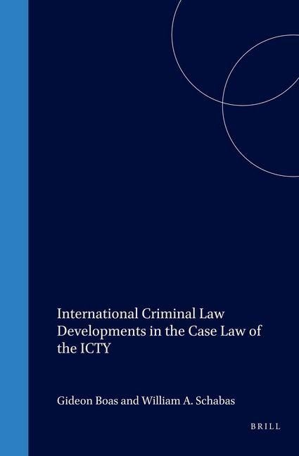 Produktbild: International Criminal Law Developments in the Case Law of the Icty