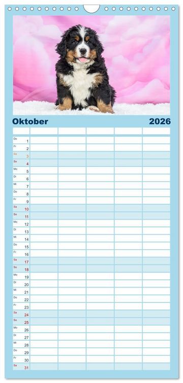 Produktbild: Familienplaner 2026 - Berner Sennenhunde - Faszinierende Herzensbrecher mit 5 Spalten (Wandkalender, 21 x 45 cm) CALVENDO