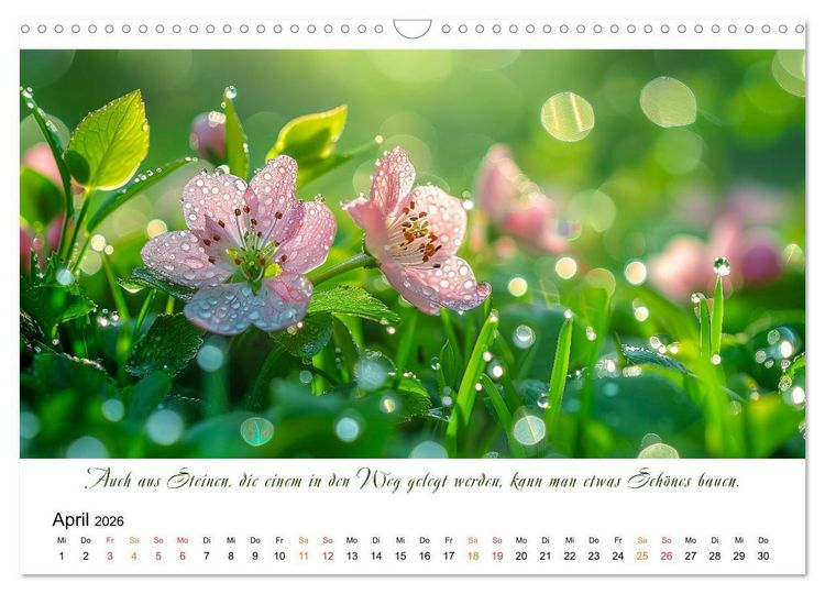 Produktbild: Freu Dich Motivations-Kalender (Wandkalender 2026 DIN A3 quer), CALVENDO Monatskalender