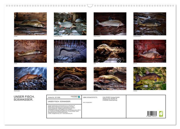 Produktbild: UNSER FISCH. S&Uuml;&szlig;WASSER. (Wandkalender 2026 DIN A2 quer), CALVENDO Monatskalender