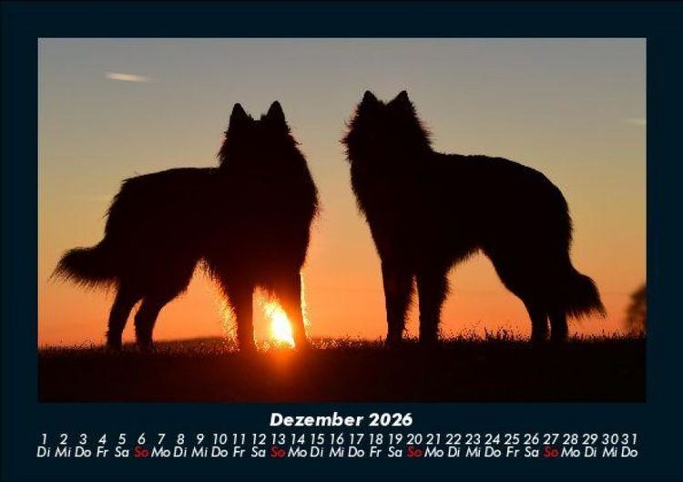 Produktbild: Hundezauber 2026 Fotokalender DIN A5