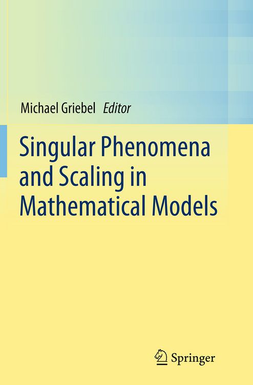 Produktbild: Singular Phenomena and Scaling in Mathematical Models