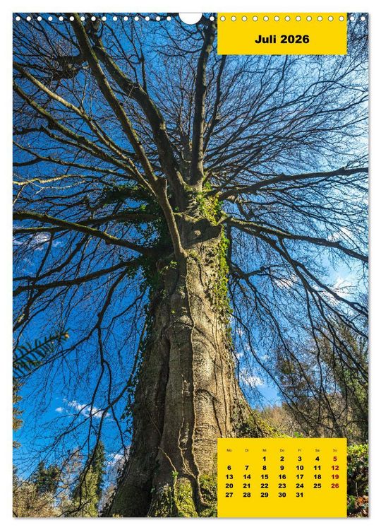 Produktbild: Stille Riesen (Wandkalender 2026 DIN A3 hoch), CALVENDO Monatskalender