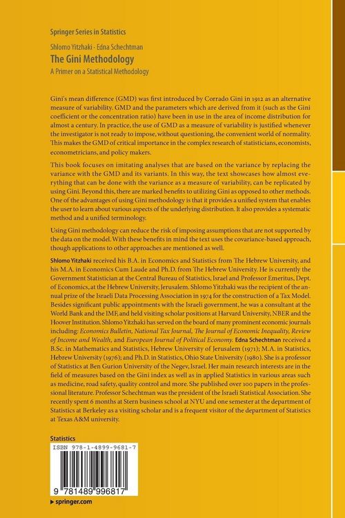Produktbild: The Gini Methodology