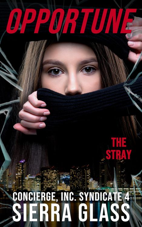 Produktbild: Opportune (Concierge, Inc., #4)