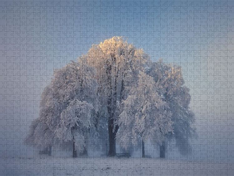 Produktbild: CALVENDO Puzzle Amalienh&ouml;he Heiligenberg, Linzgau | 1000 Teile Lege-Gr&ouml;&szlig;e 64x48cm Foto-Puzzle f&uuml;r gl&uuml;ckliche Stunden