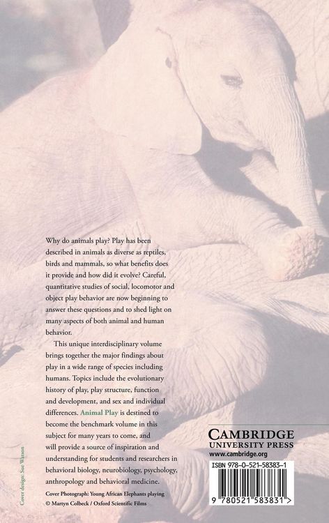 Produktbild: Animal Play