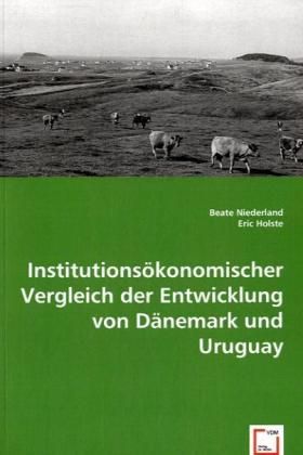 Produktbild: Niederland, B: Institutions&ouml;konomischer Vergleich der Entwic