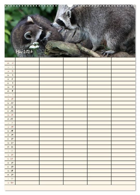 Produktbild: Waschb&auml;ren Familienplaner (hochwertiger Premium Wandkalender 2026 DIN A2 hoch), Kunstdruck in Hochglanz