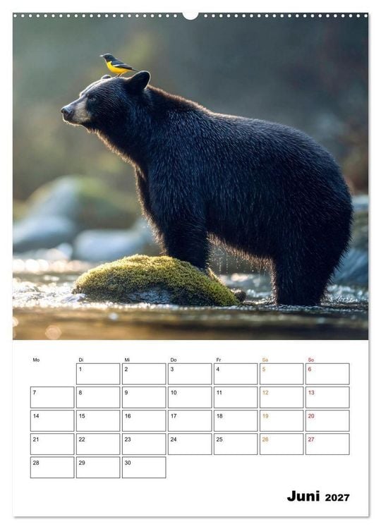 Produktbild: Ein Herz und eine Schnauze - Ein tierisch buntes Miteinander (Wandkalender 2027 DIN A2 hoch), CALVENDO Monatskalender