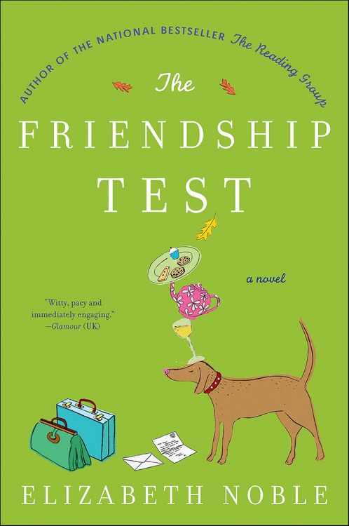 Produktbild: The Friendship Test