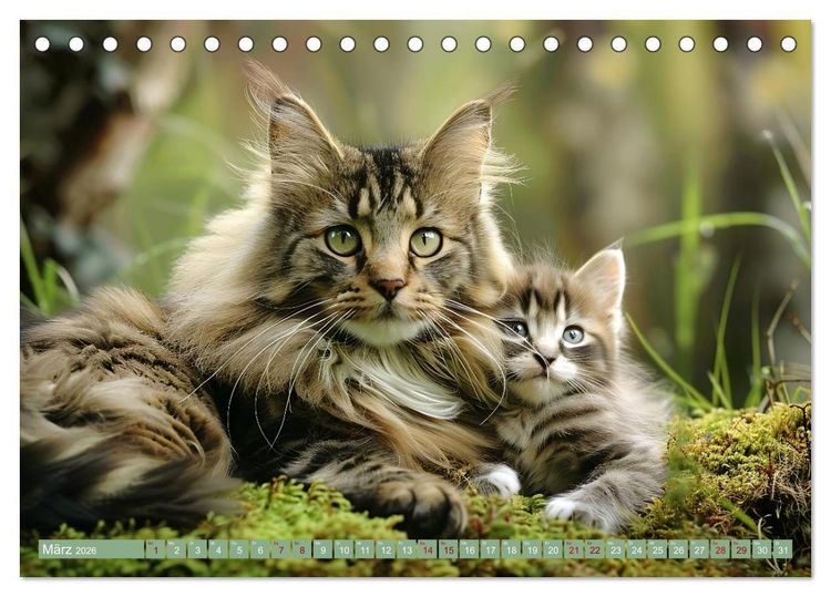 Produktbild: Tierkinder des Nordens (Tischkalender 2026 DIN A5 quer), CALVENDO Monatskalender