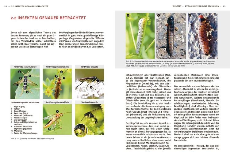 Produktbild: Wildbienen haben es auch nicht leicht