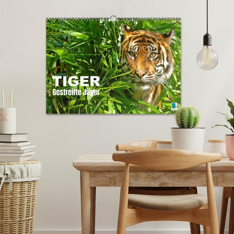 Produktbild: Tiger: Gestreifte J&auml;ger (Wandkalender 2026 DIN A3 quer), CALVENDO Monatskalender