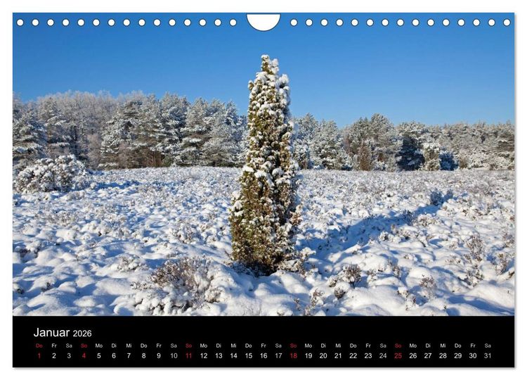 Produktbild: Hansestadt L&uuml;neburg und L&uuml;neburger Heide (Wandkalender 2026 DIN A4 quer), CALVENDO Monatskalender