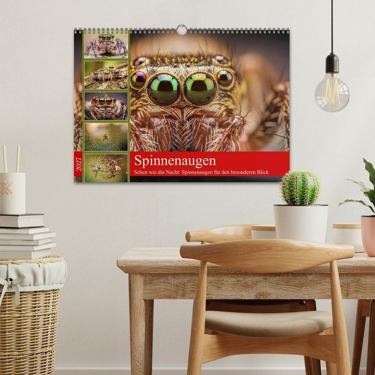 Produktbild: Spinnenaugen (Wandkalender 2027 DIN A3 quer), CALVENDO Monatskalender