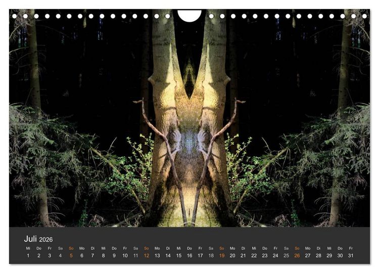 Produktbild: Spiegelwelten - Im Reich der Naturwesen (Wandkalender 2026 DIN A4 quer), CALVENDO Monatskalender