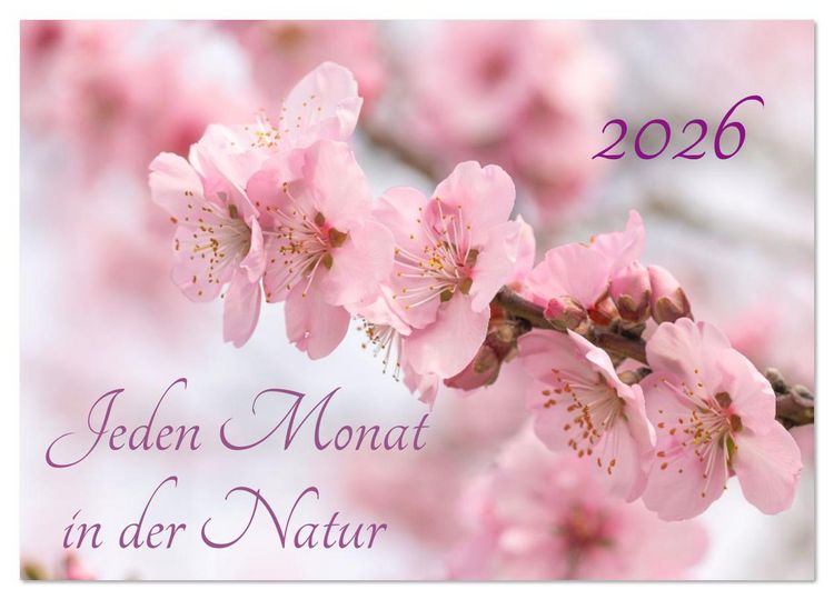 Produktbild: Jeden Monat in der Natur (Wandkalender 2026 DIN A2 quer), CALVENDO Monatskalender