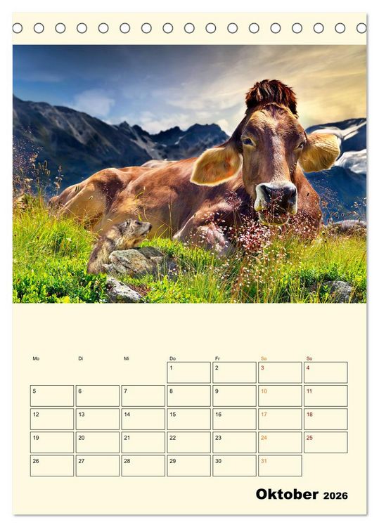 Produktbild: Gl&uuml;ckliche Bergk&uuml;he (Tischkalender 2026 DIN A5 hoch), CALVENDO Monatskalender