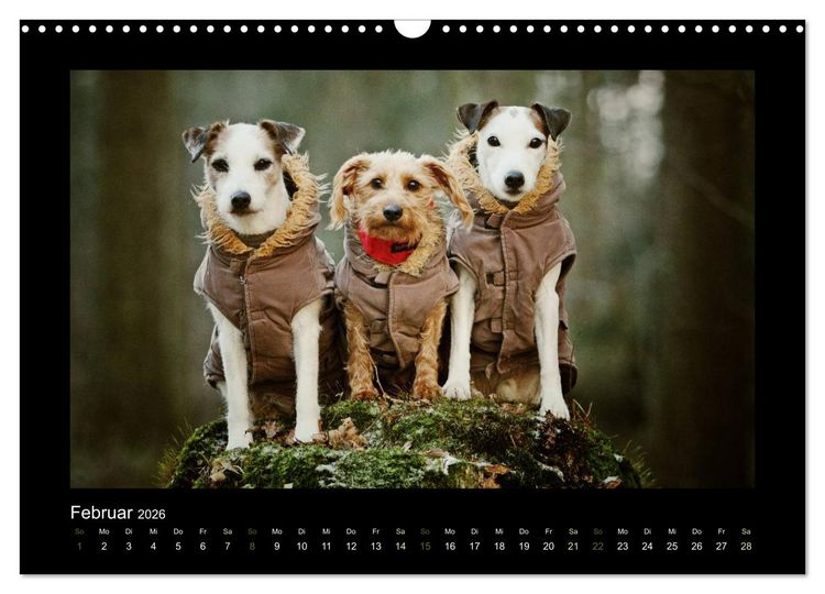 Produktbild: Die Parsons (Wandkalender 2026 DIN A3 quer), CALVENDO Monatskalender