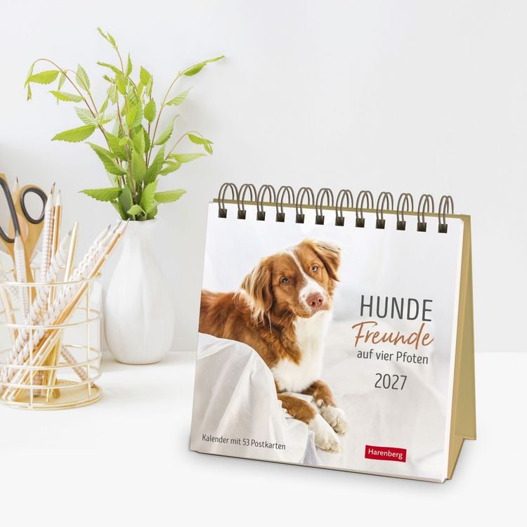 Produktbild: Hunde Premium-Postkartenkalender 2027 - Freunde auf vier Pfoten; Kalender mit 53 Postkarten