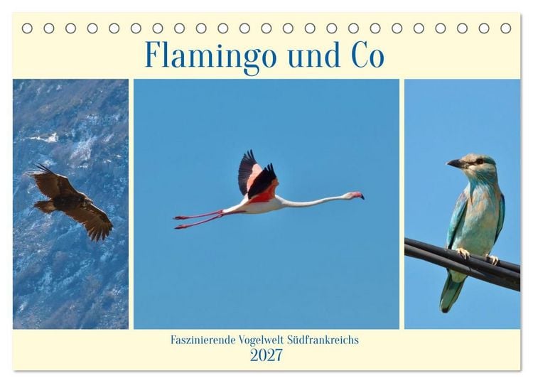 Produktbild: Flamingo und Co - Faszinierende Vogelwelt S&uuml;dfrankreichs (Tischkalender 2027 DIN A5 quer), CALVENDO Monatskalender
