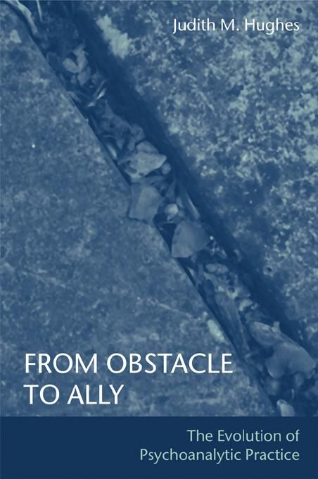 Produktbild: From Obstacle to Ally