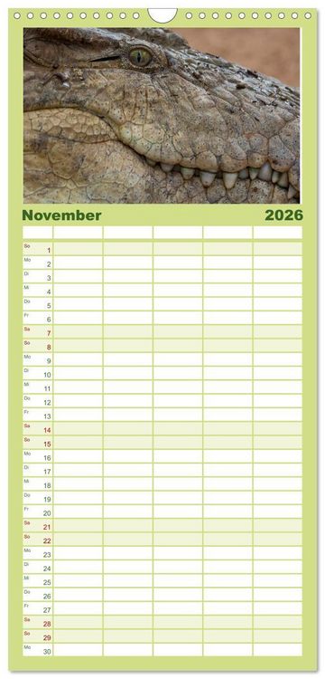Produktbild: Familienplaner 2026 - Emotionale Momente: Afrika Wildlife. Part 3. mit 5 Spalten (Wandkalender, 21 x 45 cm) CALVENDO