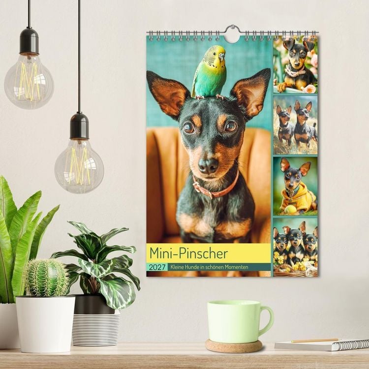 Produktbild: Mini-Pinscher. Kleine Hunde in sch&ouml;nen Momenten (Wandkalender 2027 DIN A4 hoch), CALVENDO Monatskalender