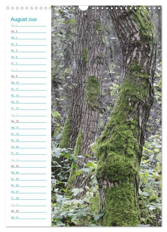 Produktbild: Wunderbarer Spreewald (Wandkalender 2026 DIN A3 hoch), CALVENDO Monatskalender