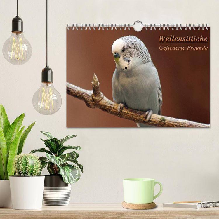 Produktbild: Wellensittiche - Gefiederte Freunde (Wandkalender 2026 DIN A4 quer), CALVENDO Monatskalender