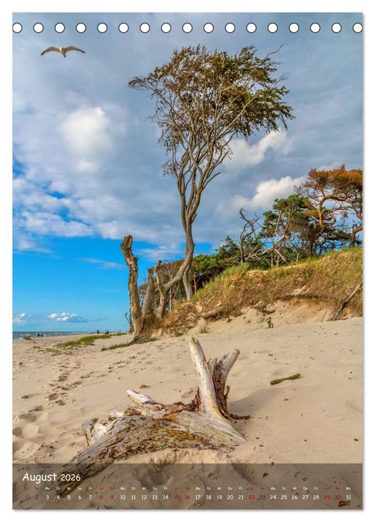 Produktbild: Wunderbare Ostseelandschaft Fischland-Dar&szlig;-Zingst (Tischkalender 2026 DIN A5 hoch), CALVENDO Monatskalender