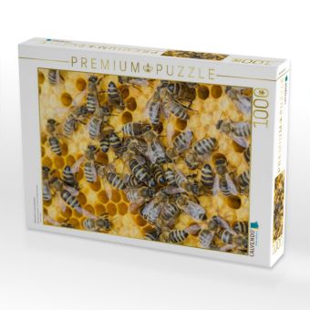 Produktbild: CALVENDO Puzzle Bienenbrut wird produziert | 1000 Teile Lege-Gr&ouml;&szlig;e 64x48cm Foto-Puzzle f&uuml;r gl&uuml;ckliche Stunden