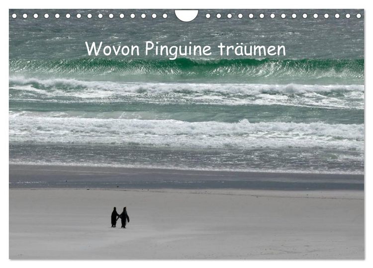 Produktbild: Wovon Pinguine tr&auml;umen (Wandkalender 2026 DIN A4 quer), CALVENDO Monatskalender