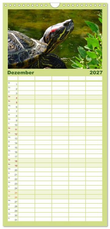 Produktbild: Familienplaner 2027 - Das Leben der Schildkr&ouml;ten mit 5 Spalten (Wandkalender, 21 x 45 cm) CALVENDO