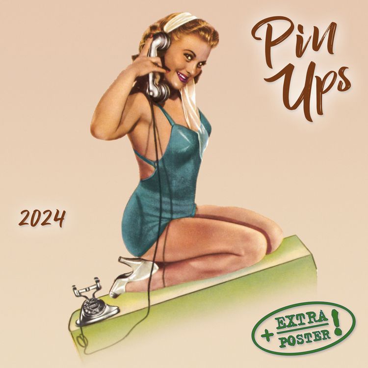 Produktbild: Pin Ups 2024