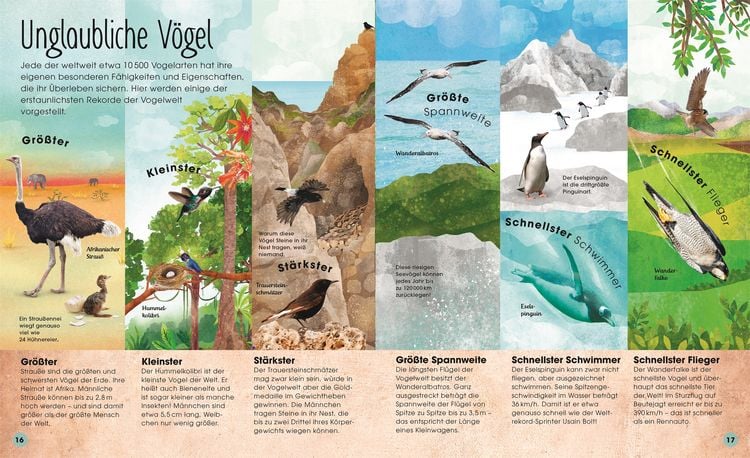Produktbild: Die schillernde Welt der V&ouml;gel
