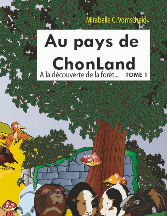 Produktbild: Au pays de Chonland