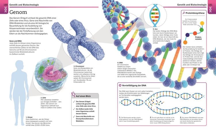 Produktbild: Visuelles Wissen. Biologie