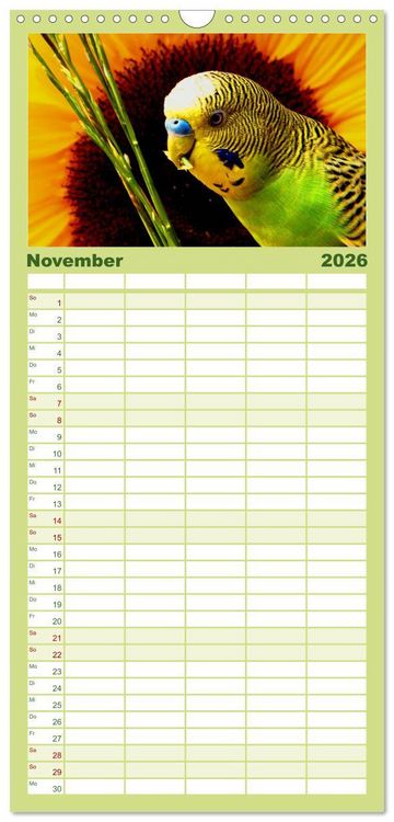 Produktbild: Familienplaner 2026 - Wellensittiche - Naturkalender mit 5 Spalten (Wandkalender, 21 x 45 cm) CALVENDO