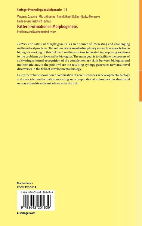 Produktbild: Pattern Formation in Morphogenesis