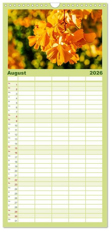 Produktbild: Familienplaner 2026 - Mit Ginkgo biloba durch das Jahr mit 5 Spalten (Wandkalender, 21 x 45 cm) CALVENDO