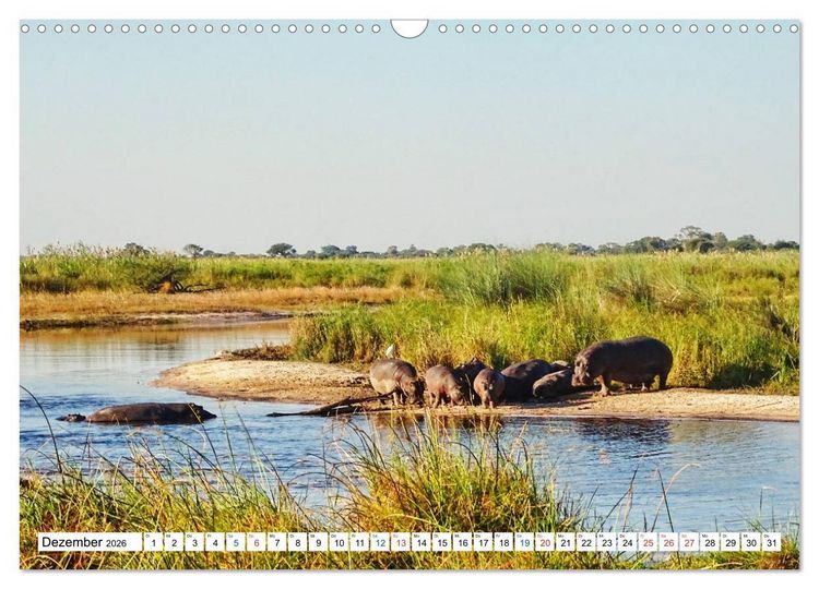Produktbild: Namibia, Faszination W&uuml;ste und Tierwelt (Wandkalender 2026 DIN A3 quer), CALVENDO Monatskalender