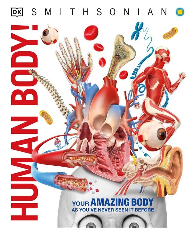 Produktbild: Knowledge Encyclopedia Human Body!