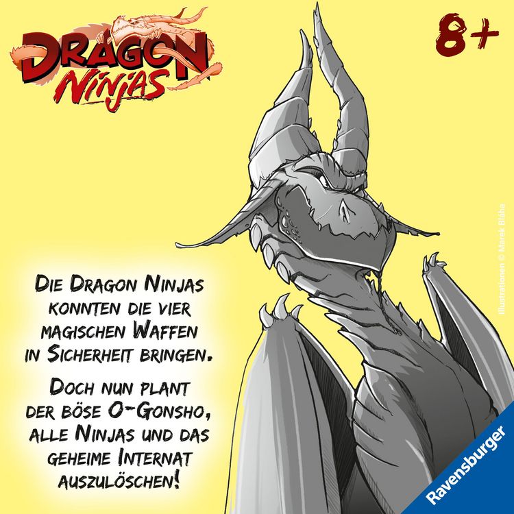 Produktbild: Dragon Ninjas, Band 6 - Der Drache des Wassers