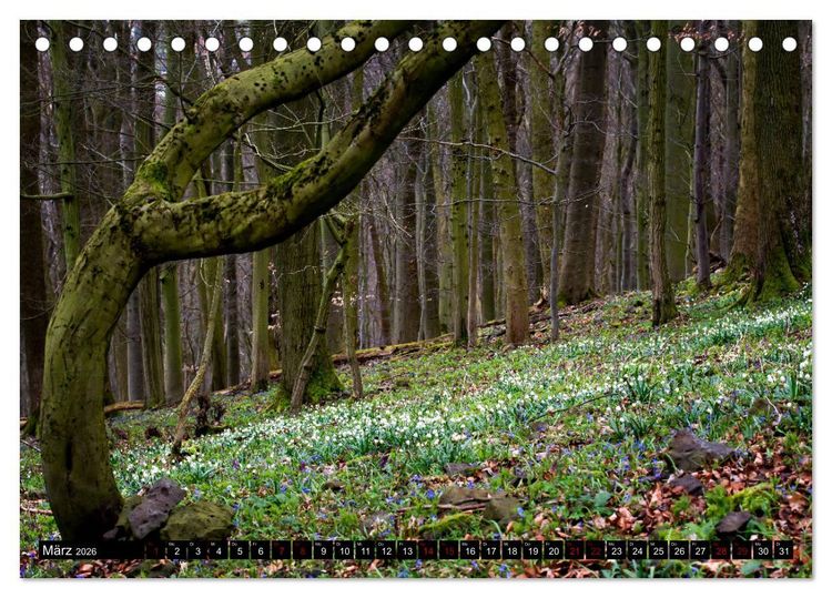 Produktbild: Die Rh&ouml;n (Tischkalender 2026 DIN A5 quer), CALVENDO Monatskalender
