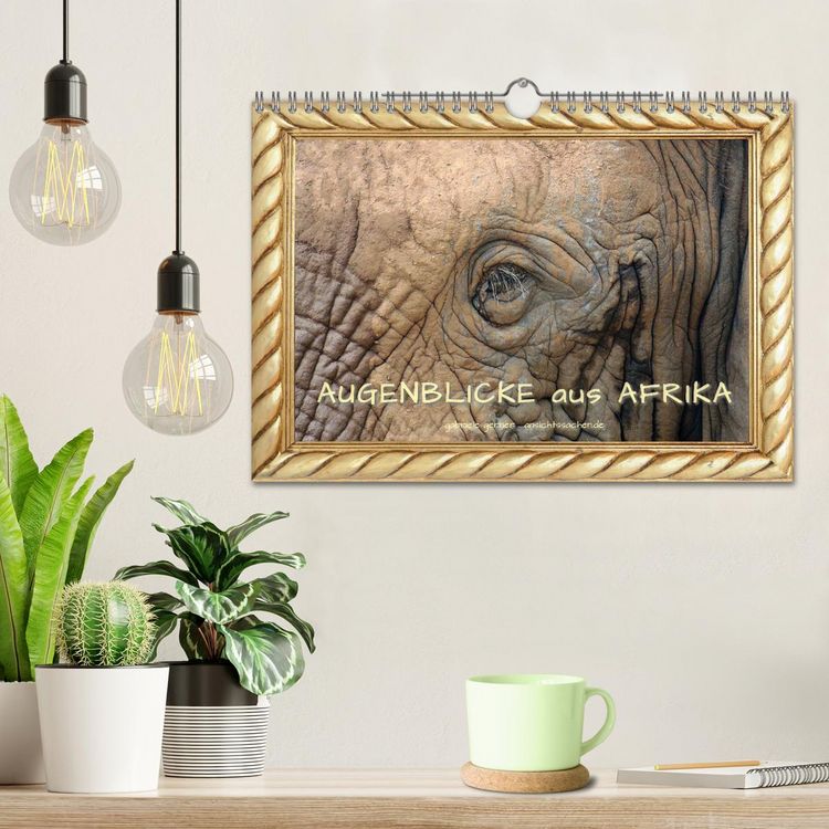 Produktbild: Augenblicke aus Afrika (Wandkalender 2026 DIN A4 quer), CALVENDO Monatskalender