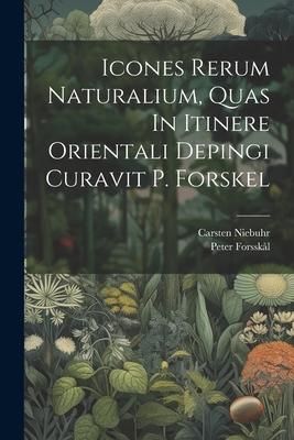 Produktbild: Icones Rerum Naturalium, Quas In Itinere Orientali Depingi Curavit P. Forskel