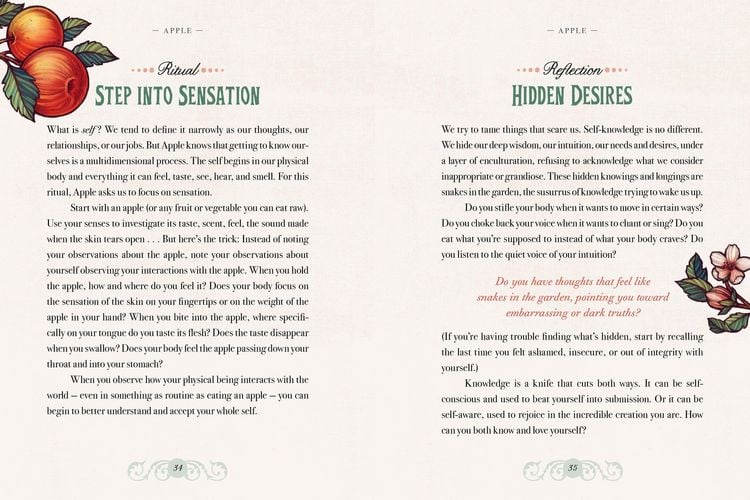 Produktbild: Illustrated Herbiary